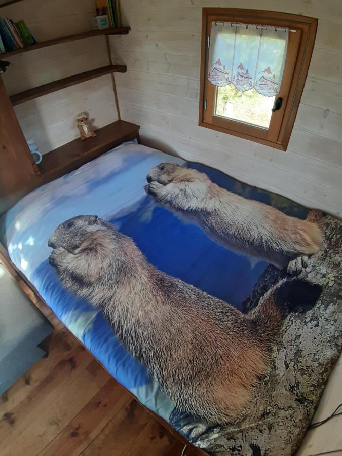 Roulotte La Marmotte Villa Poinson-les-Fayl Kültér fotó